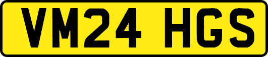 VM24HGS