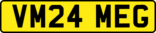 VM24MEG