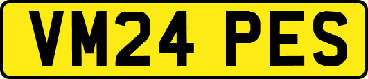 VM24PES