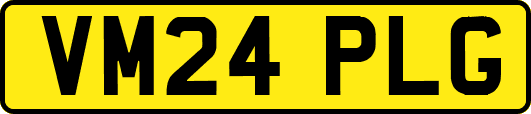 VM24PLG