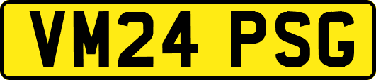VM24PSG