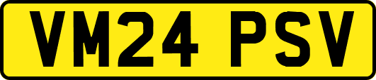 VM24PSV