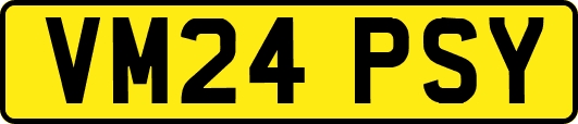 VM24PSY
