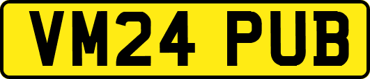 VM24PUB