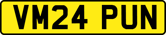 VM24PUN