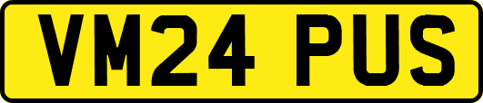 VM24PUS