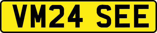 VM24SEE