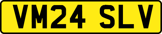 VM24SLV