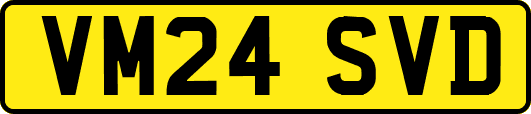VM24SVD