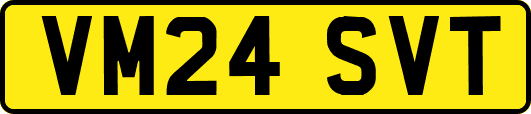 VM24SVT