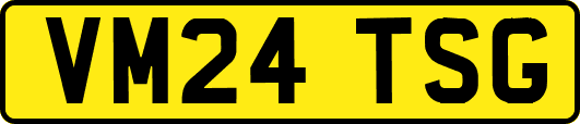 VM24TSG