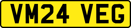 VM24VEG