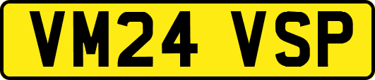 VM24VSP