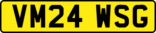 VM24WSG