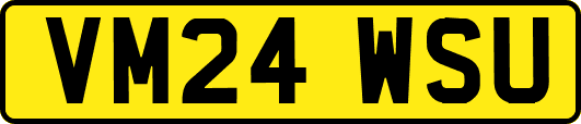 VM24WSU