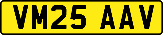 VM25AAV