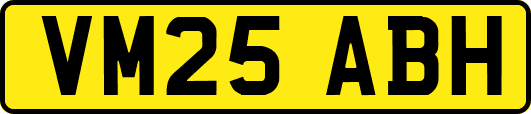 VM25ABH