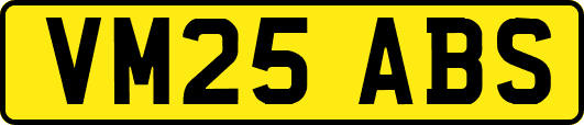 VM25ABS