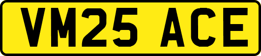 VM25ACE