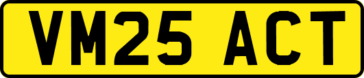 VM25ACT