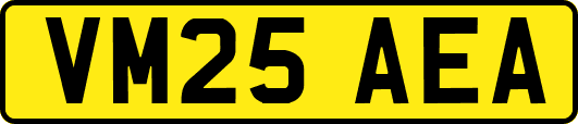 VM25AEA