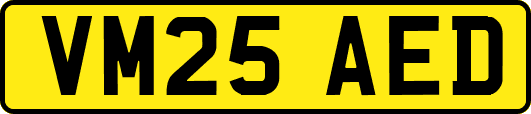 VM25AED