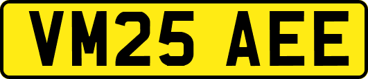 VM25AEE