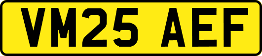 VM25AEF