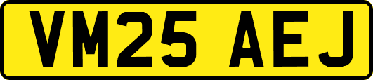 VM25AEJ
