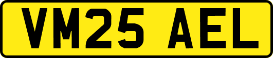 VM25AEL