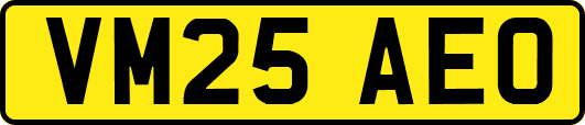 VM25AEO