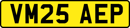 VM25AEP