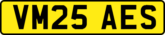 VM25AES