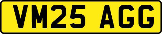 VM25AGG