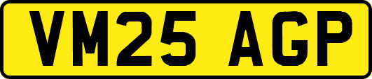 VM25AGP