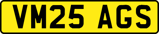 VM25AGS