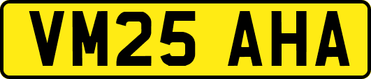 VM25AHA