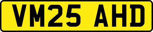 VM25AHD