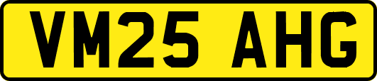 VM25AHG