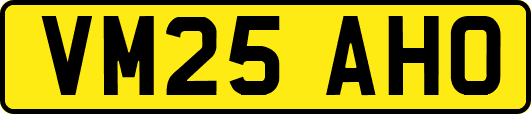 VM25AHO