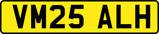 VM25ALH
