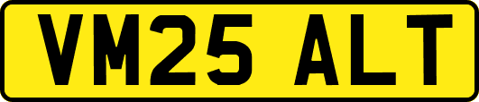 VM25ALT
