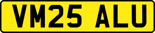 VM25ALU