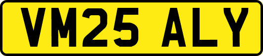 VM25ALY