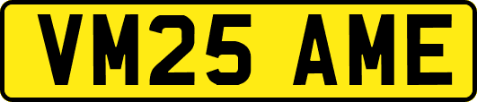 VM25AME