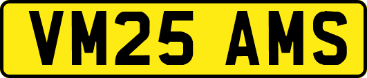 VM25AMS