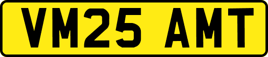 VM25AMT