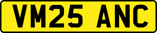 VM25ANC