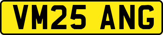 VM25ANG