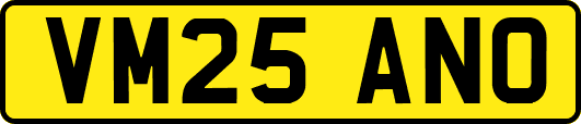 VM25ANO